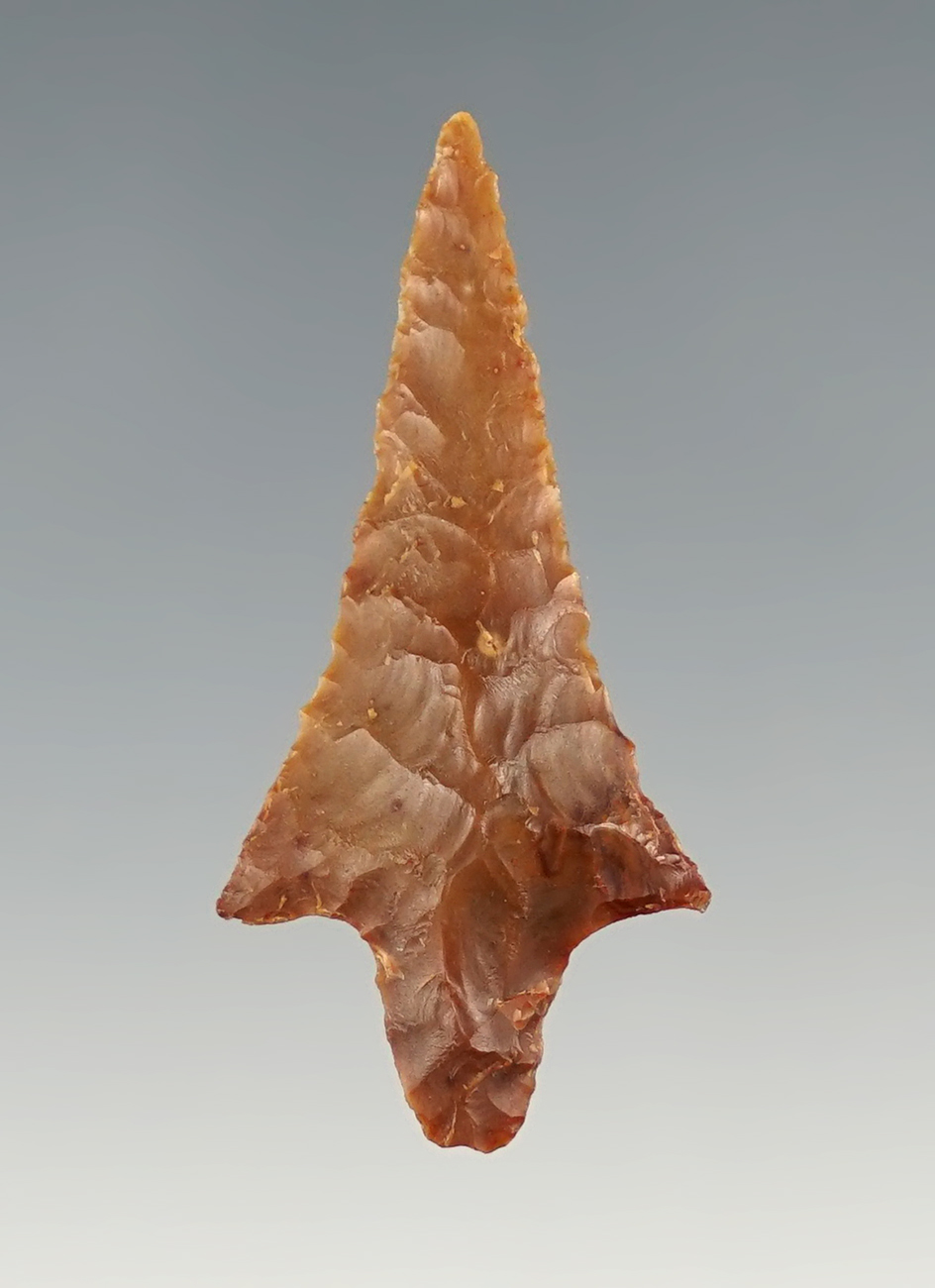 1 1/2" Rabbit Island point found near Sauvies Island, Oregon. Ex. Frank Buehler collection.