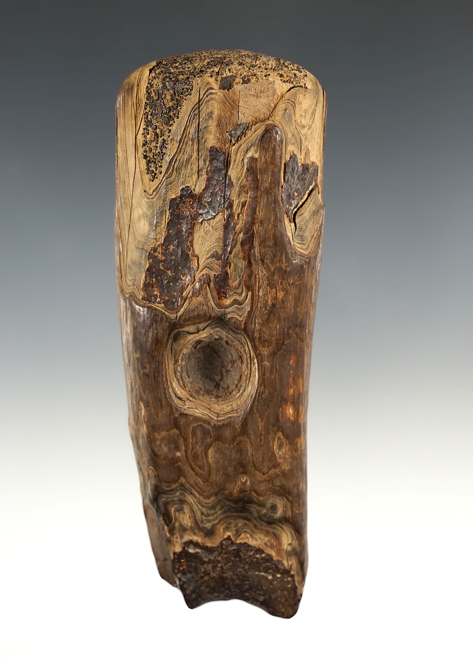 Main artifact image