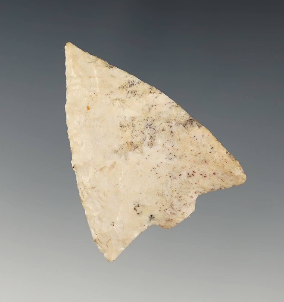 Main artifact image