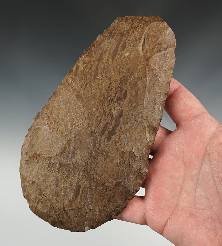 Main artifact image