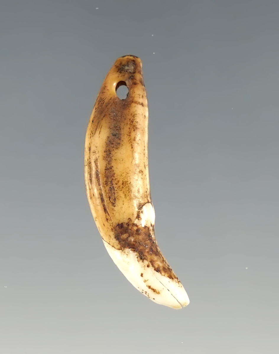 Main artifact image