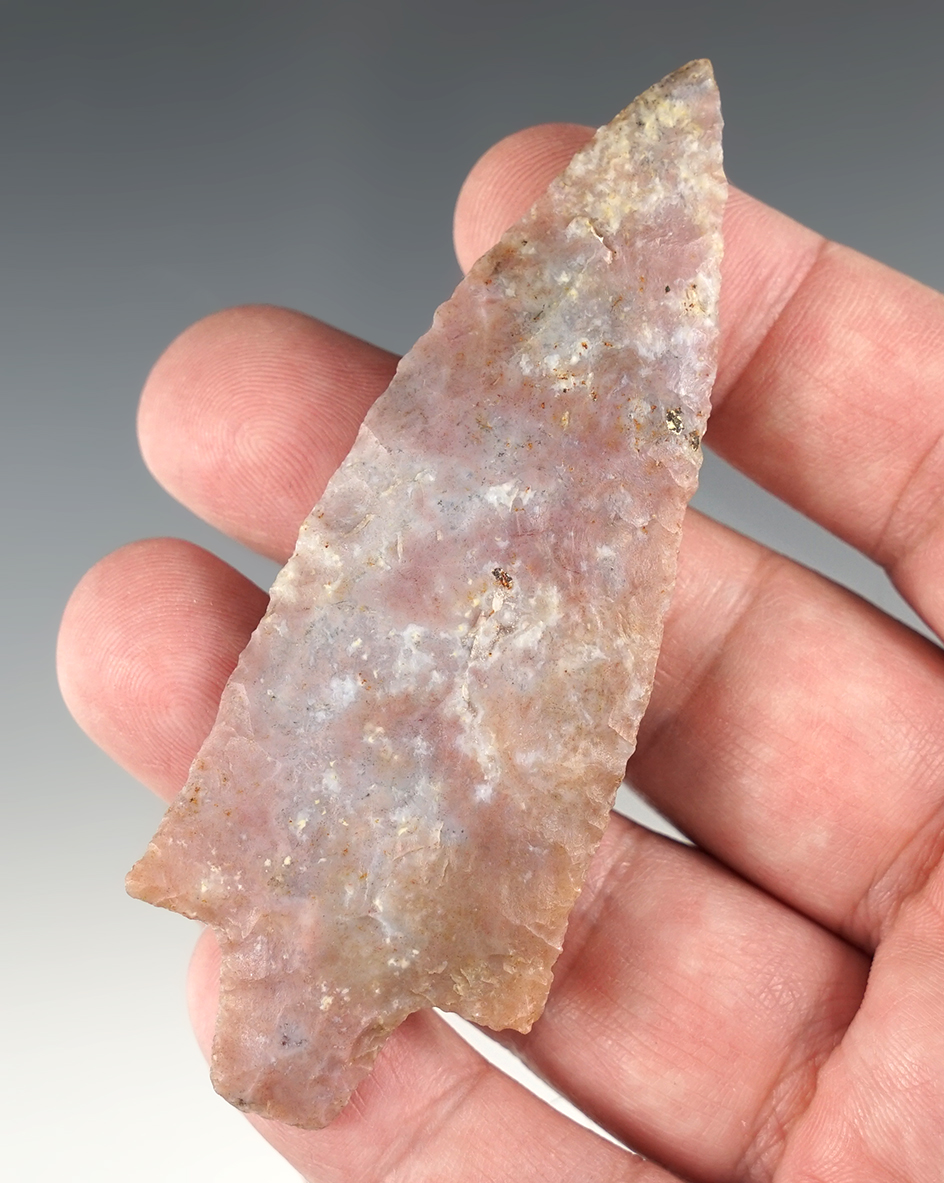 Main artifact image