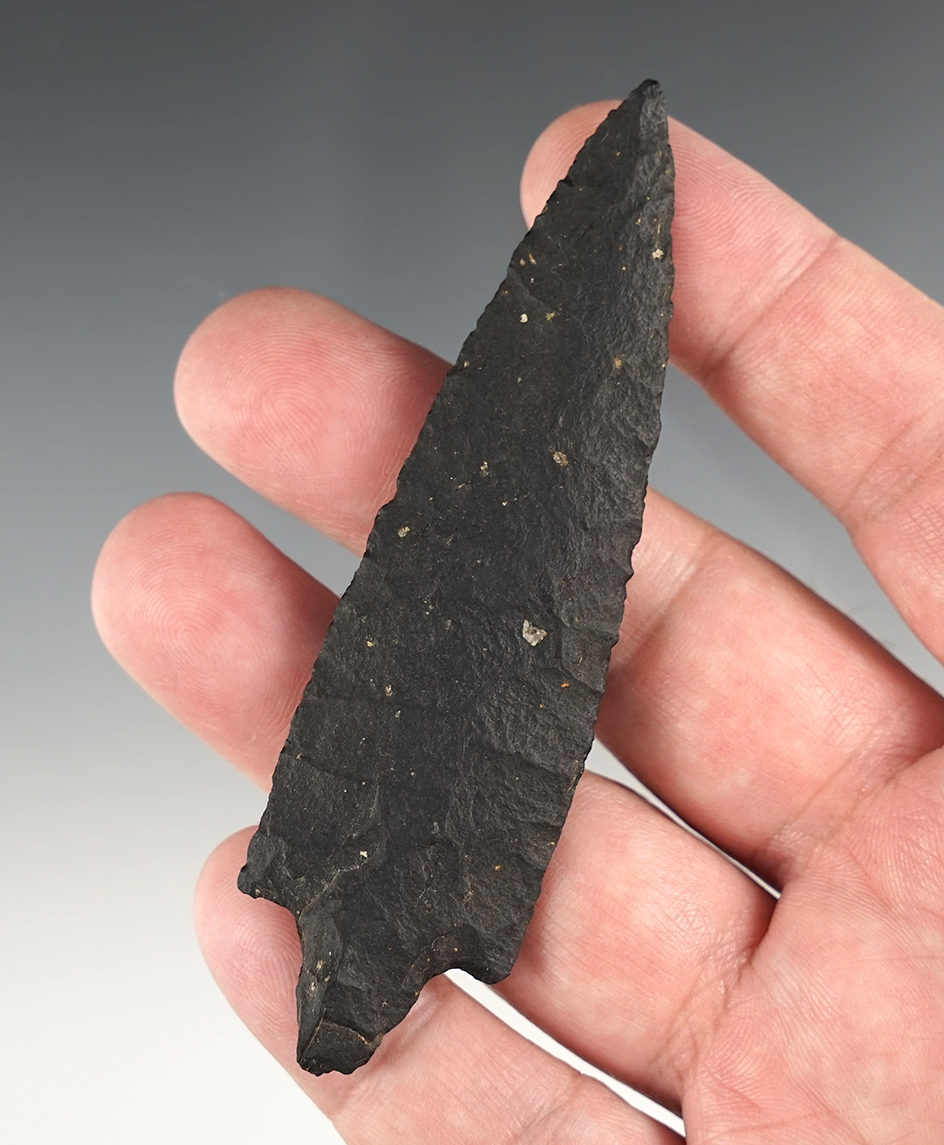 Main artifact image