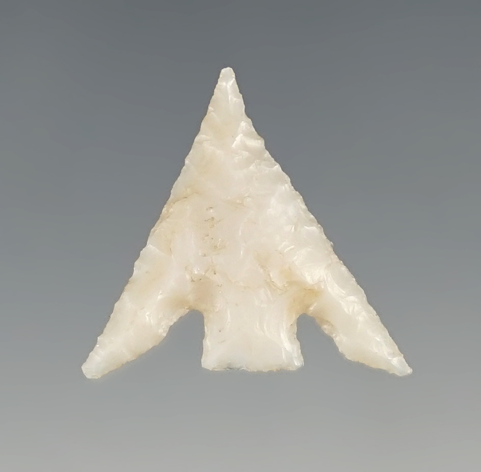 Beautiful long swept wings on this 13/16" Columbia Plateau made from Chalcedony.