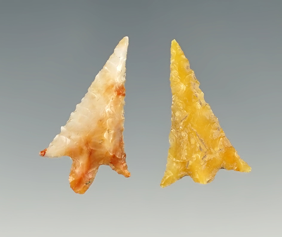 Pair of colorful Rabbit Island points found close to the Columbia River. The largest is 1 1/16"