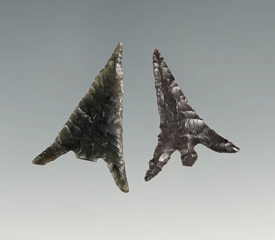 Pair of finely flaked Columbia Plateau points found close to the Columbia River. Largest is 1 1/16"