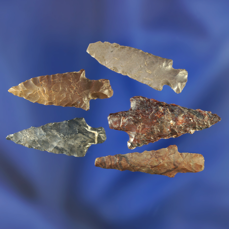 Set of five stemmed arrowheads, largest is 1 1/8".