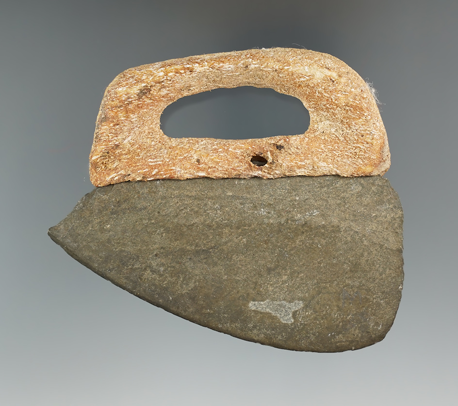 Main artifact image