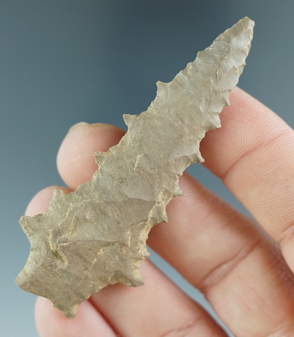 Excellent serrations on this 2 11/16" Kirk Stemmed found in Kentucky. Ex. Henry English