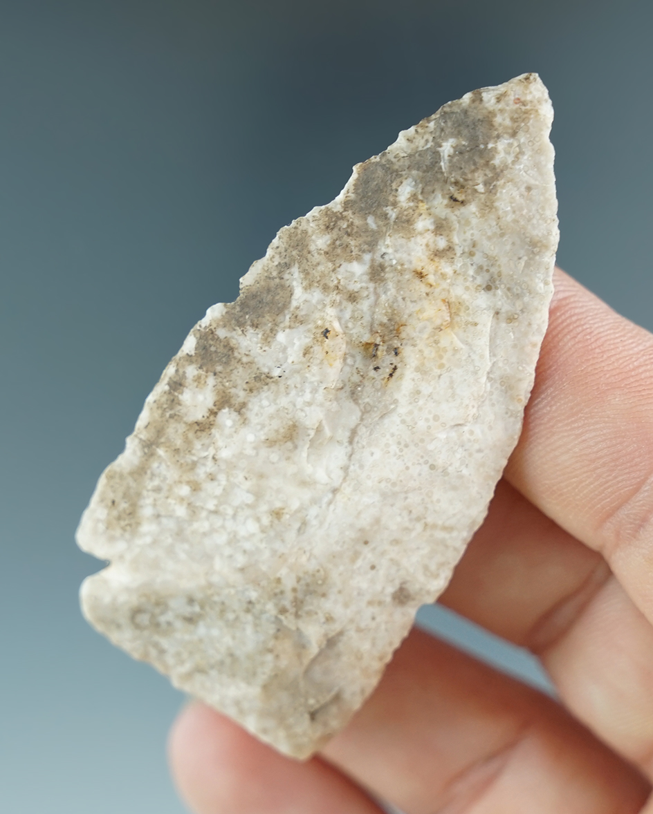 Main artifact image