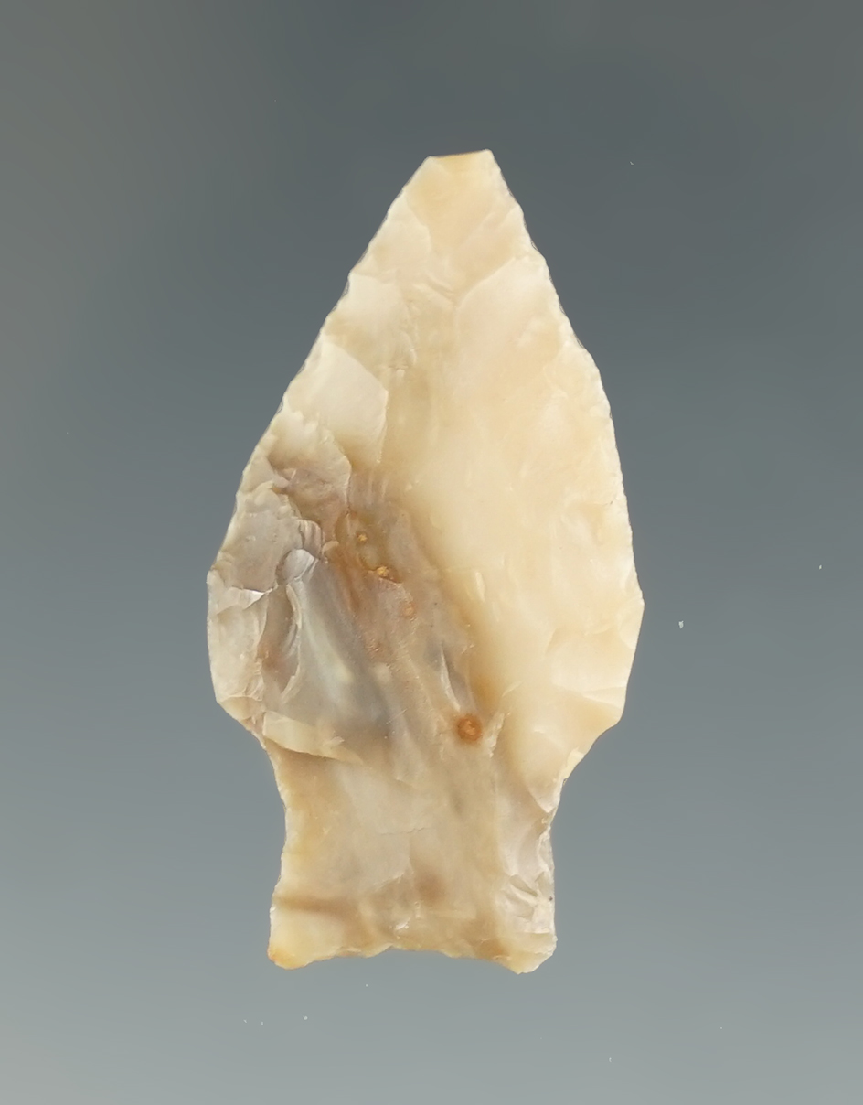 1 5/16" Paleo Spedis - attractive agate found near the Columbia River, Oregon. Pictured!