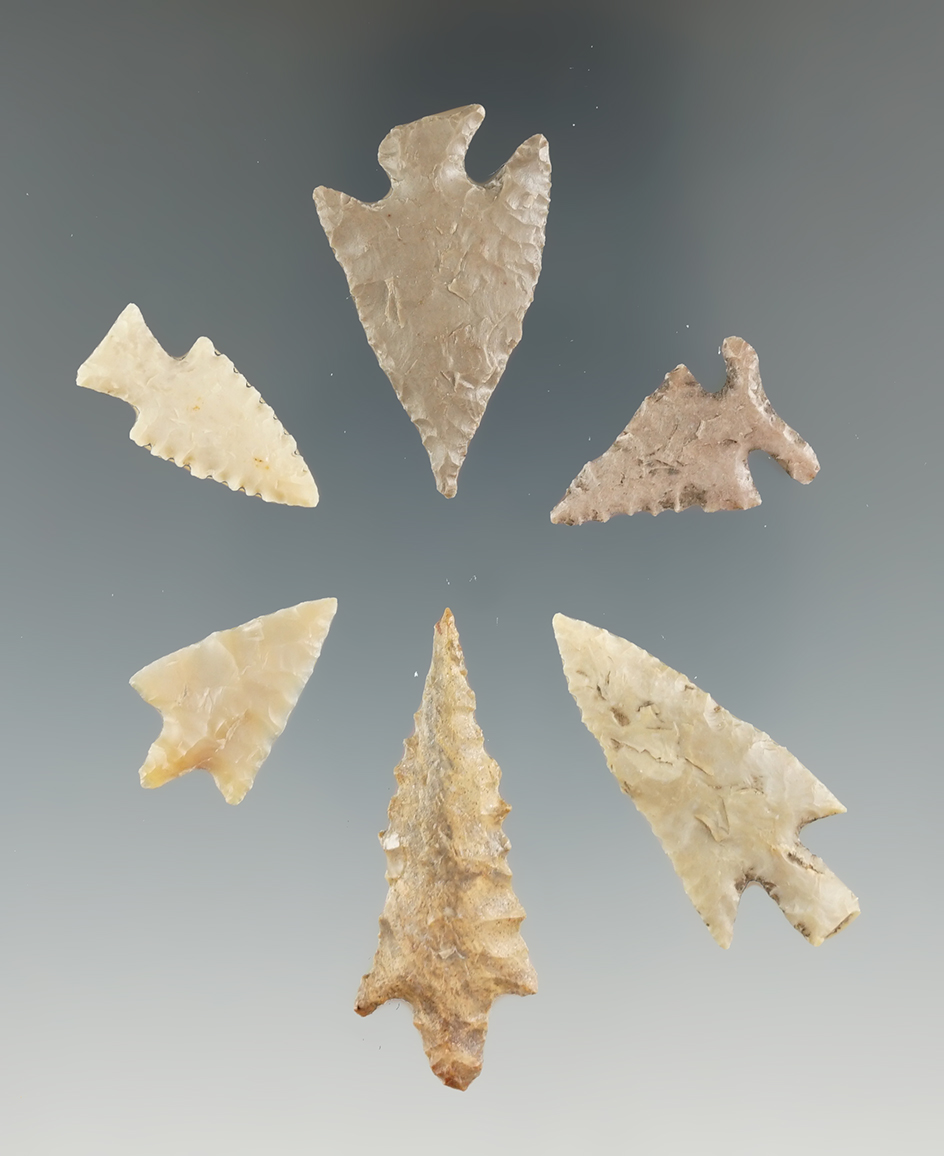 Group of six assorted Texas arrowheads, largest is 1 1/4". Very nice styles in this group.