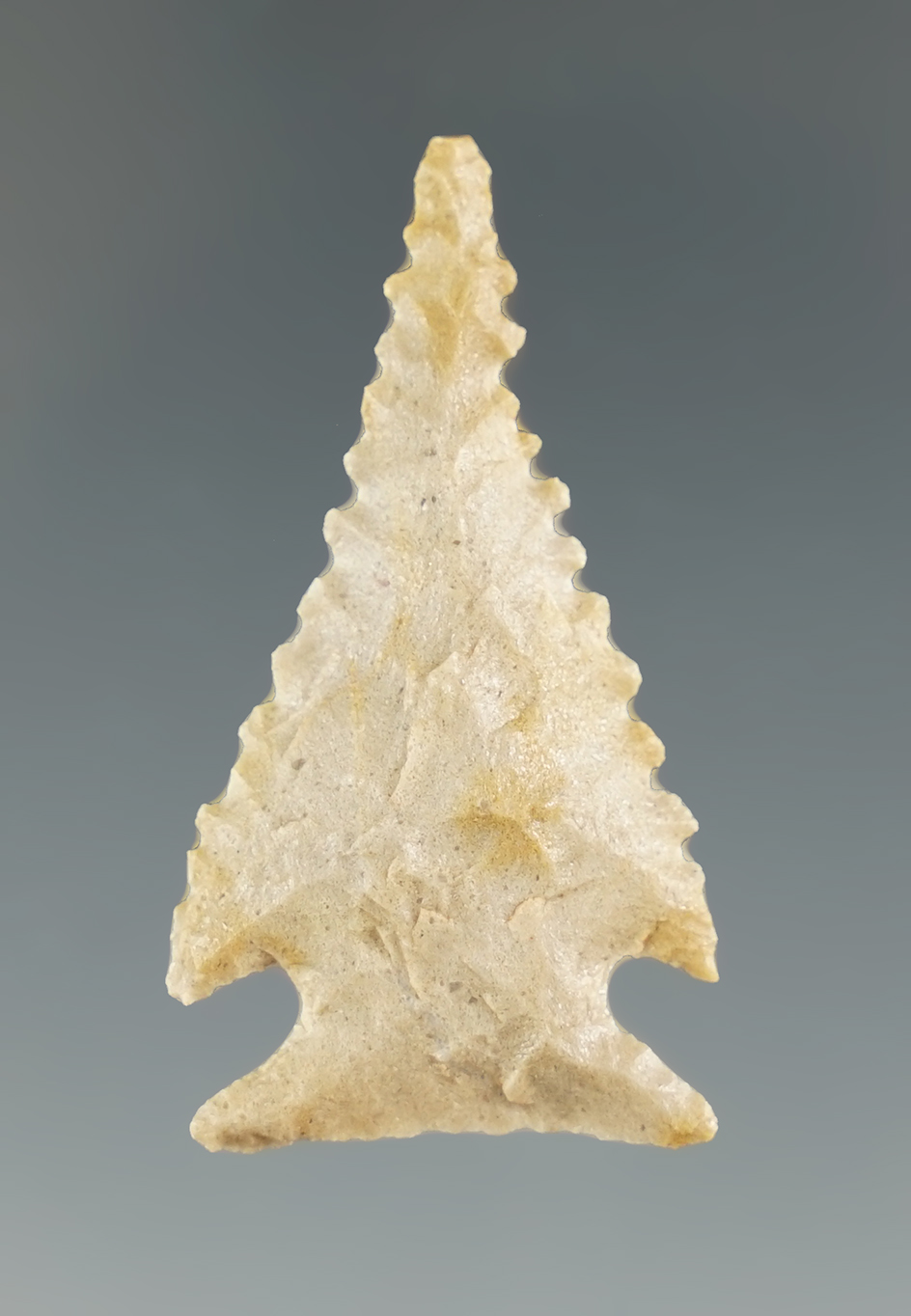 Main artifact image