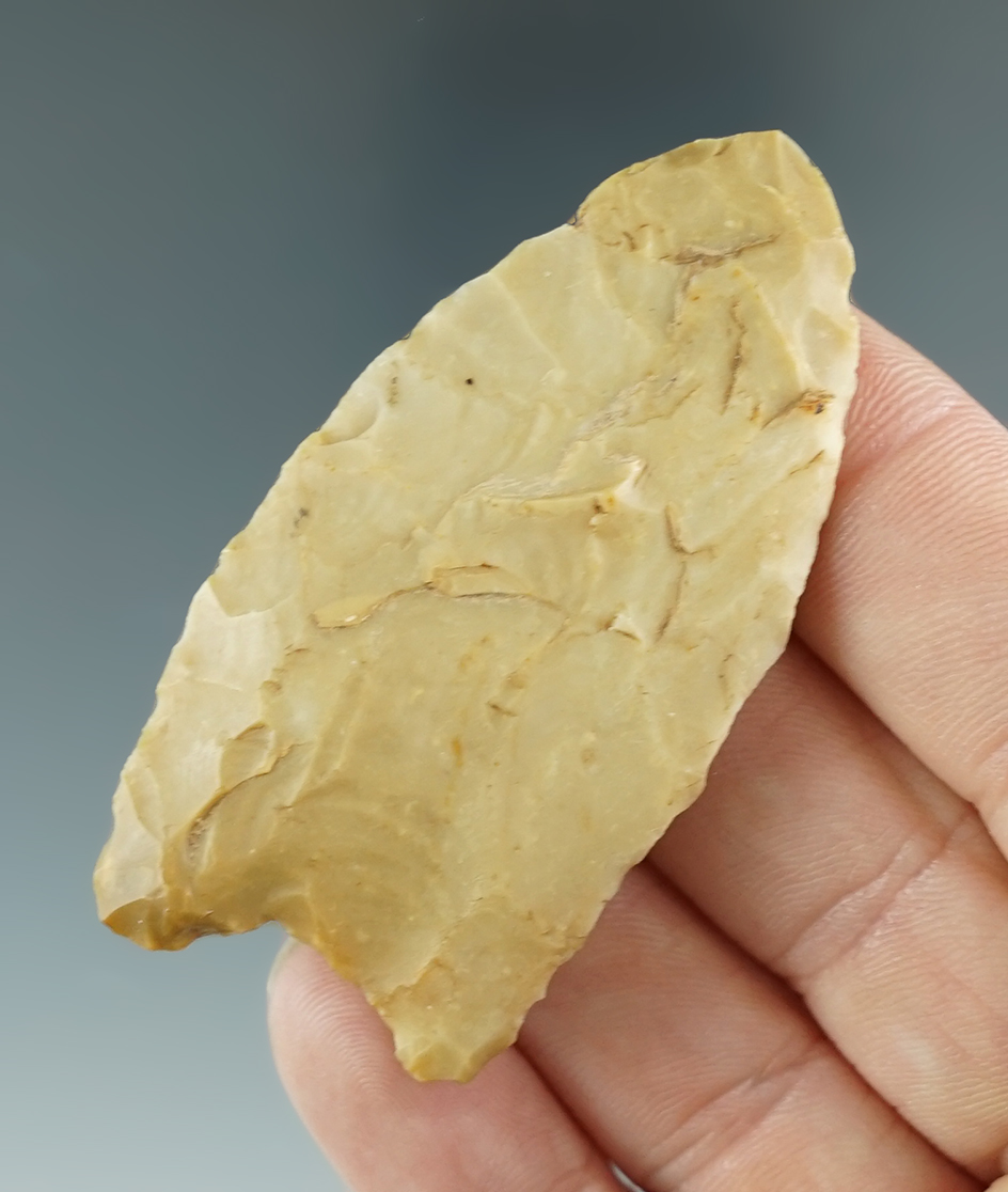 Main artifact image