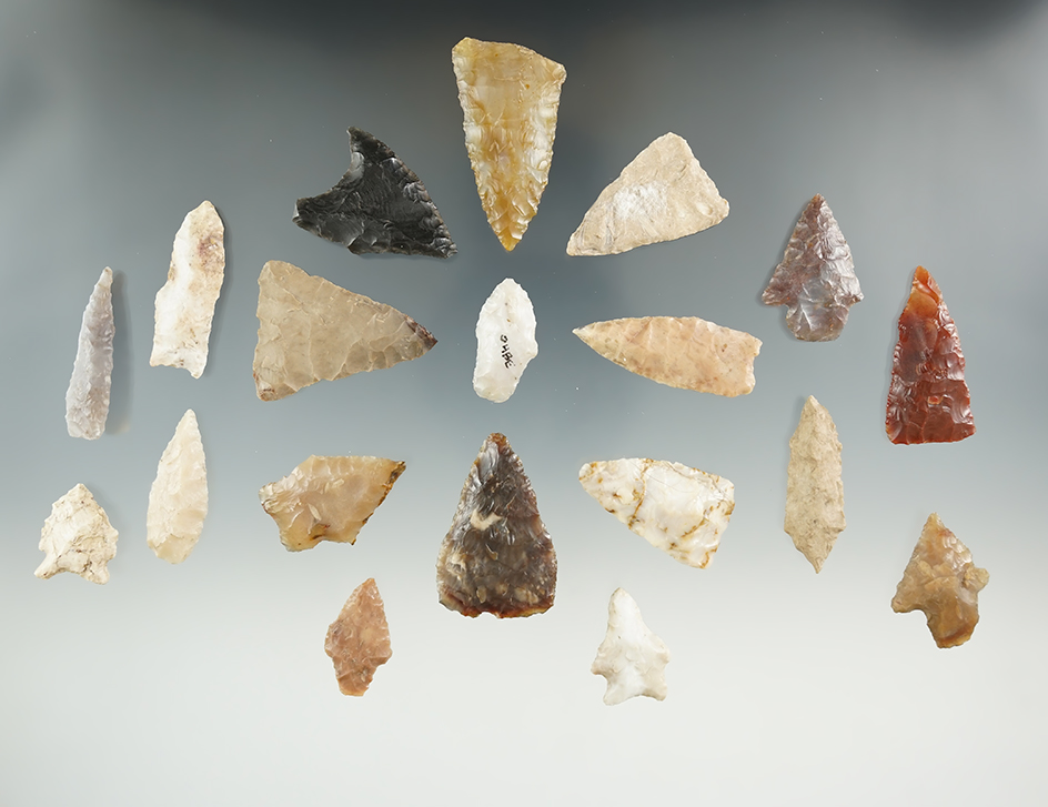 Set of 19 assorted arrowheads found near the Columbia River. Largest is 1 11/16".