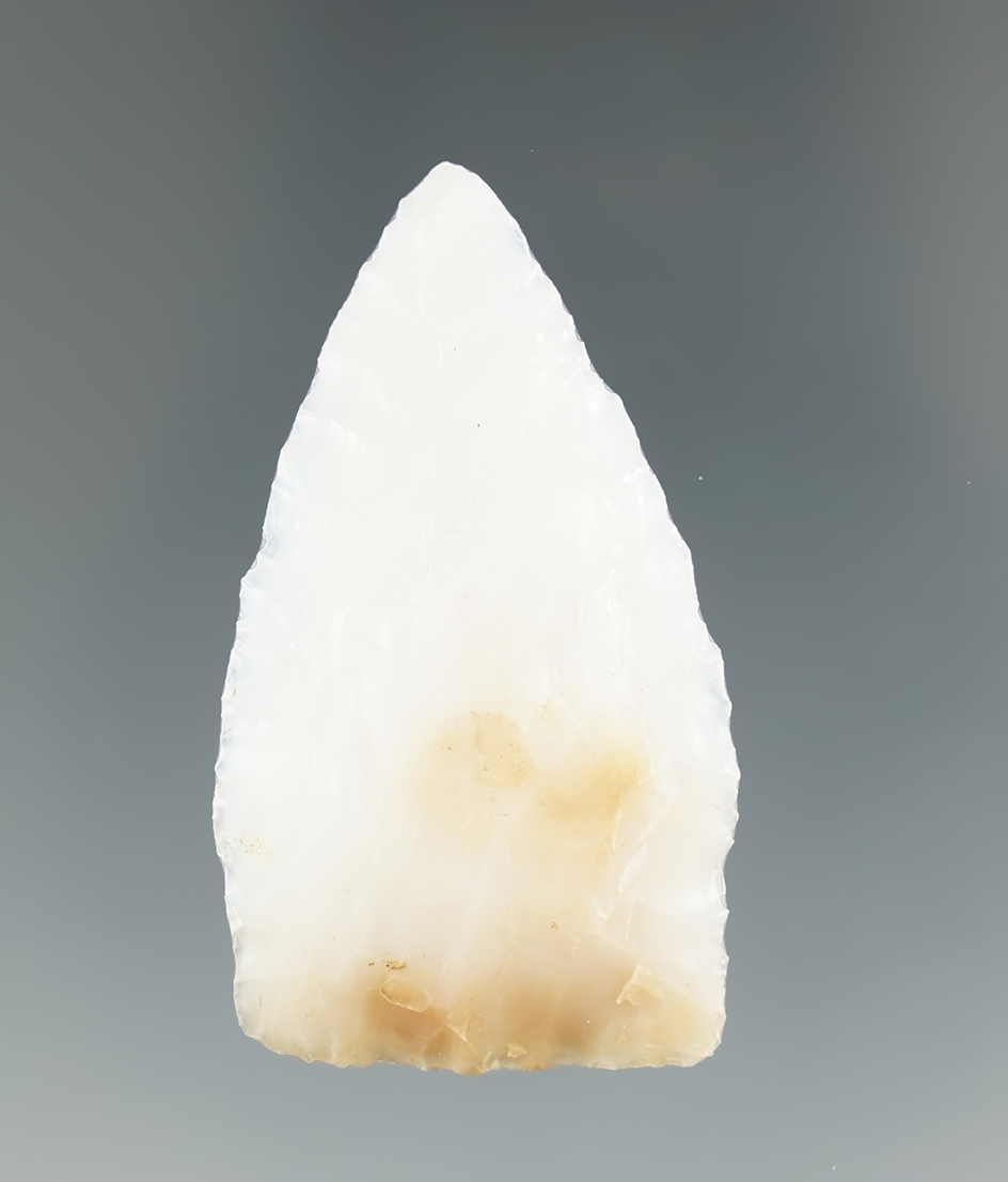 Beautifully flaked 1 3/4" Scottsbluff-Cody Complex made from beautiful Opalized wood
