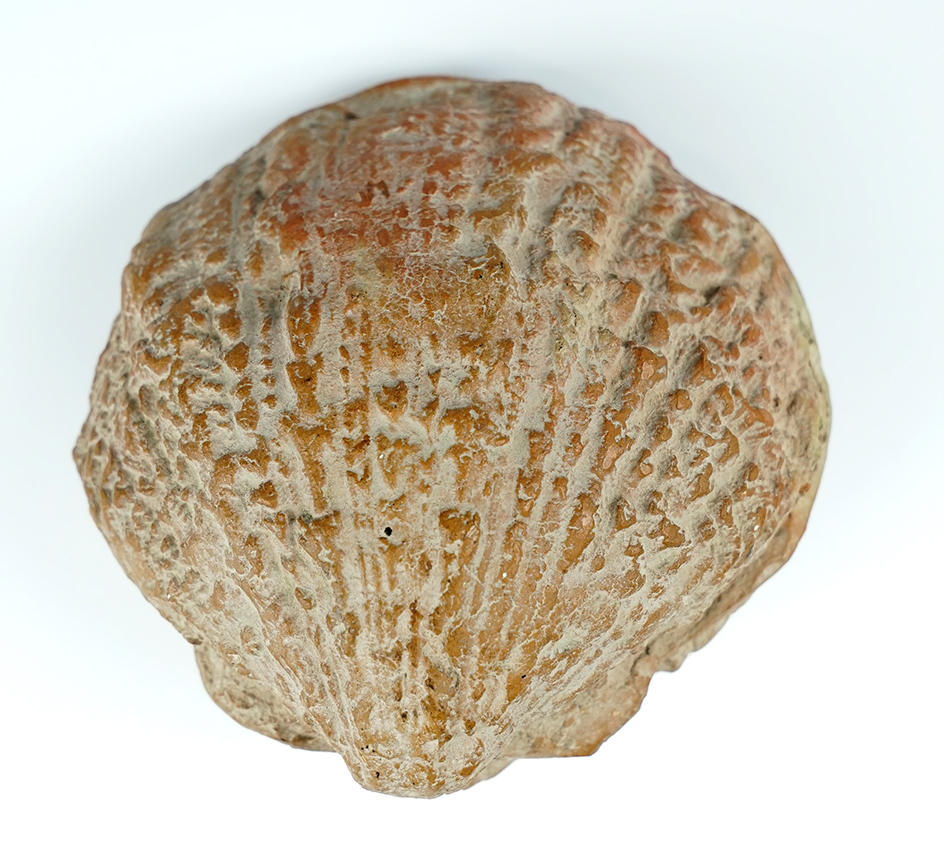 Main artifact image
