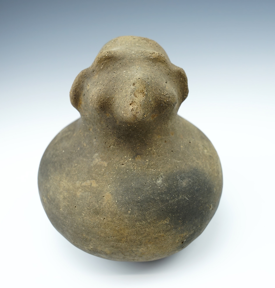 Main artifact image
