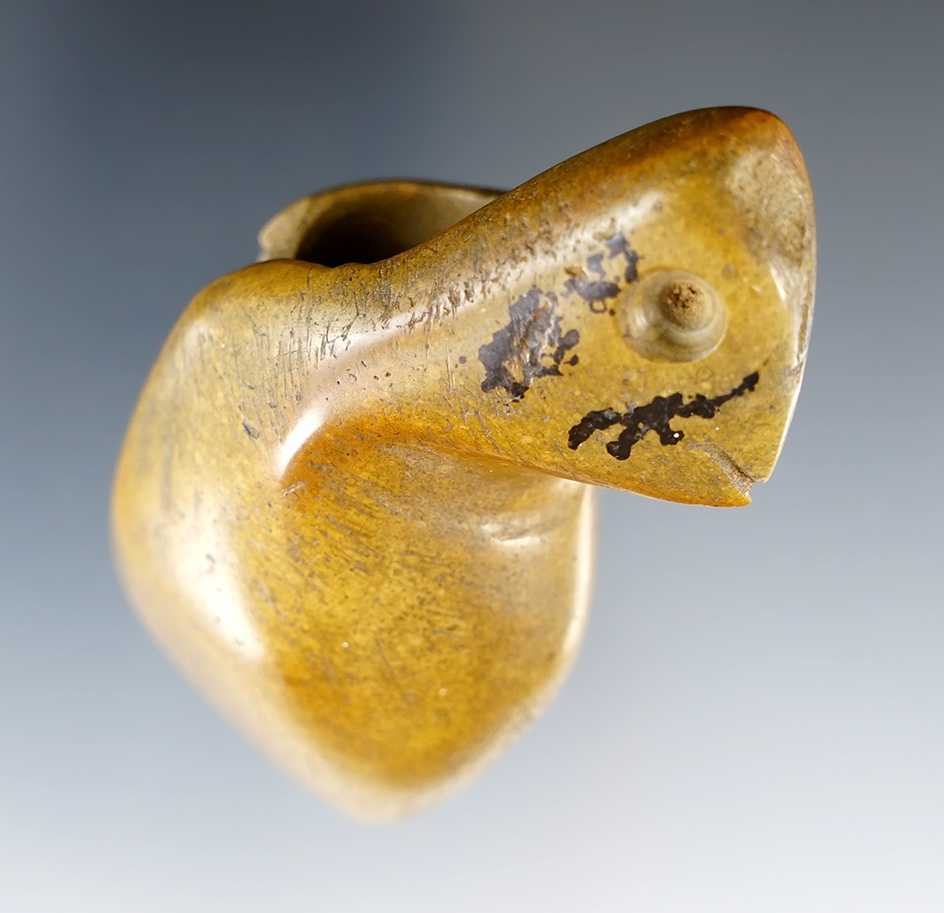 Main artifact image