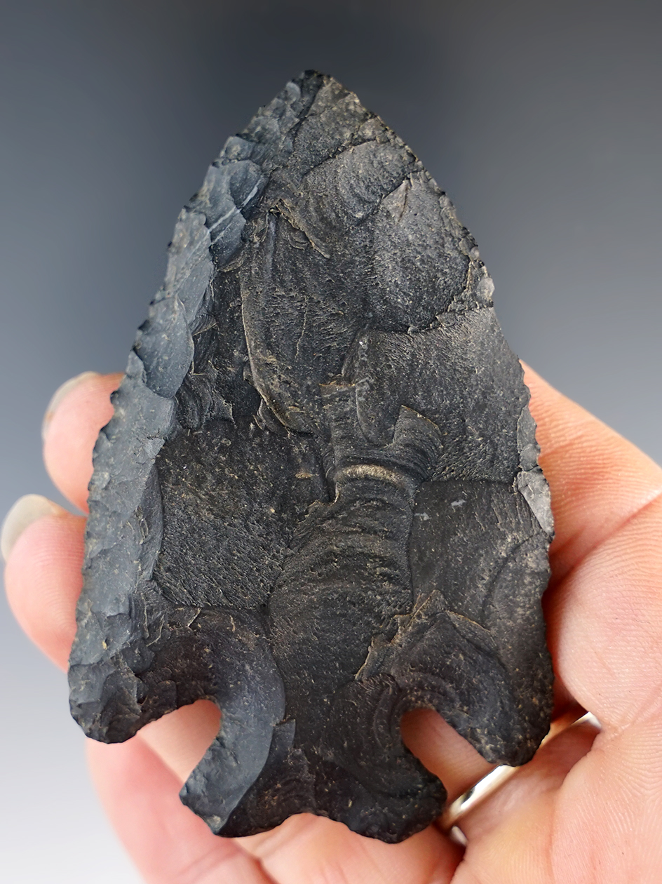 Beveled 3" Archaic Thebes Point found in Ohio.