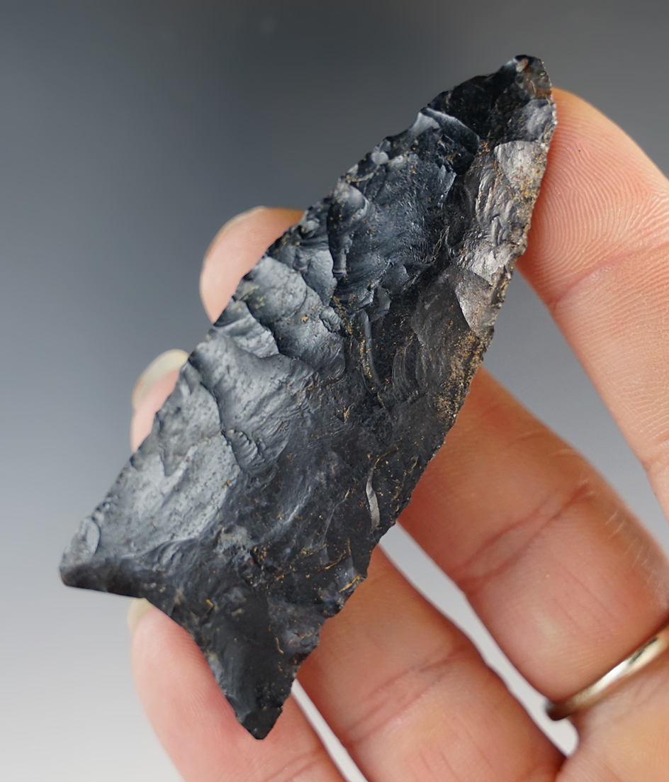 2 13/16" Paleo Point, Hardin Co., Ohio in 1969.