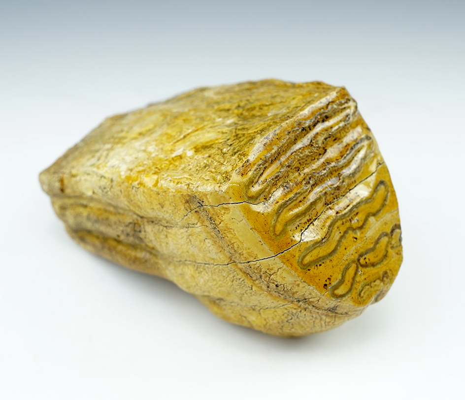 Main artifact image