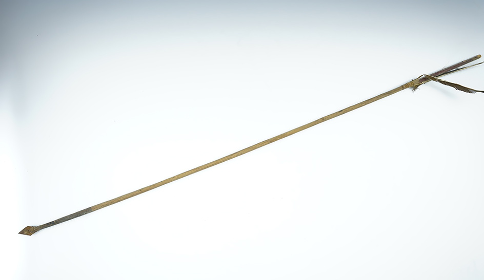 Main artifact image