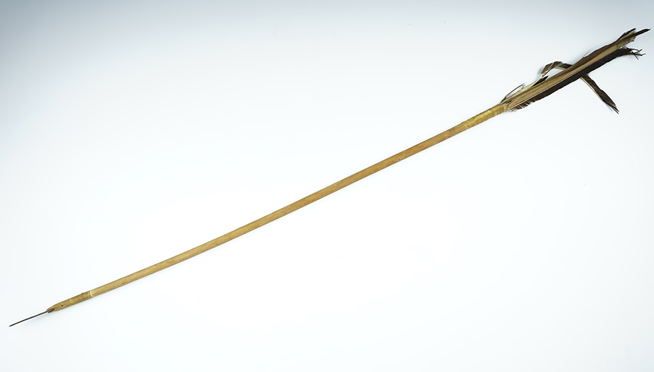 Main artifact image