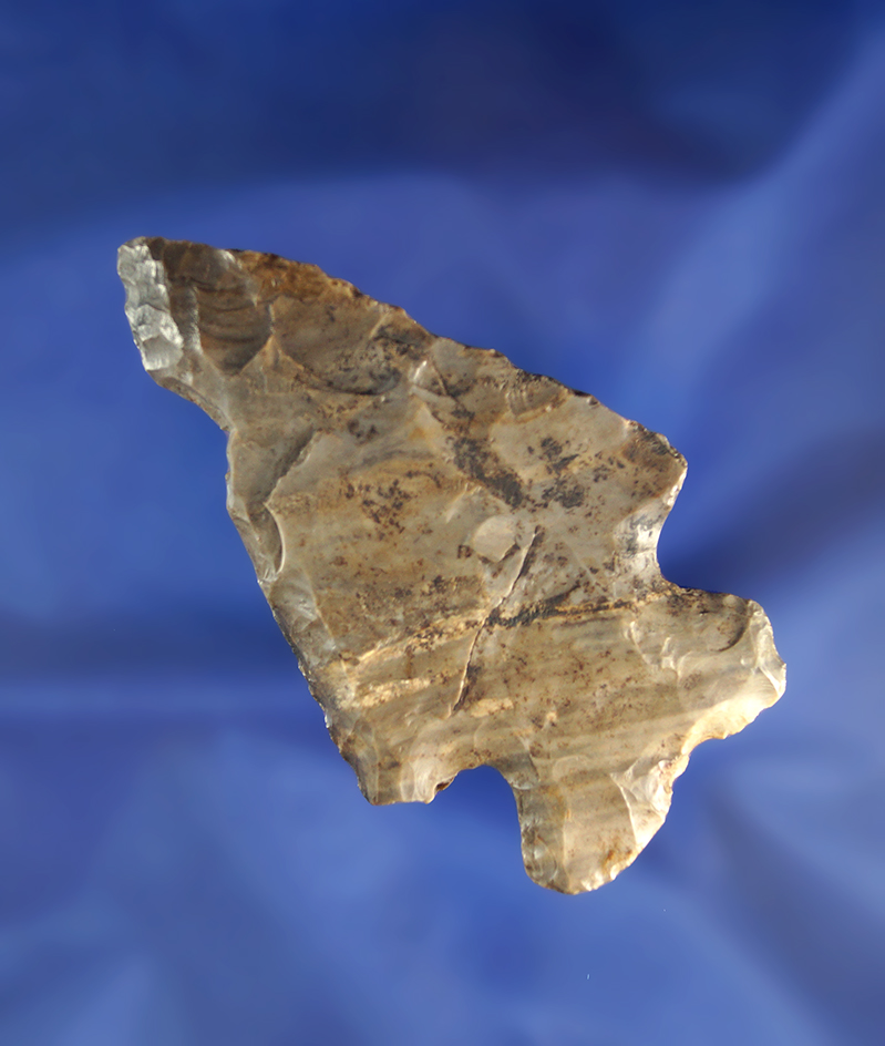 3 1/8" Archaic Thebes Bevel with some damage to blade edge found in Ohio.