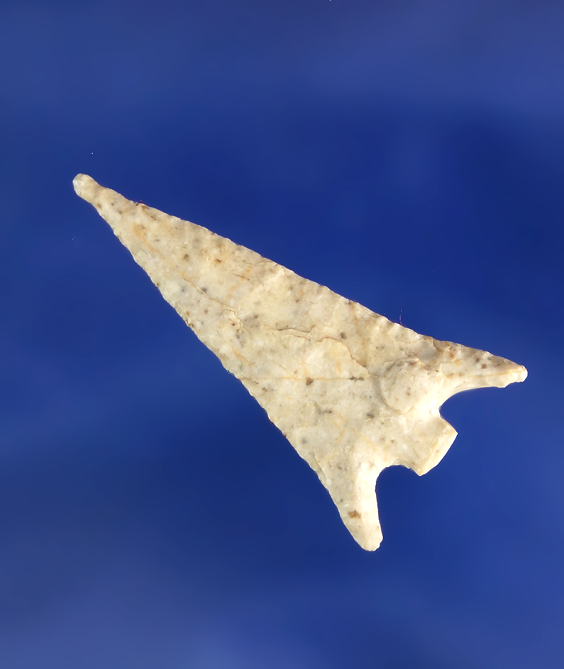 Main artifact image