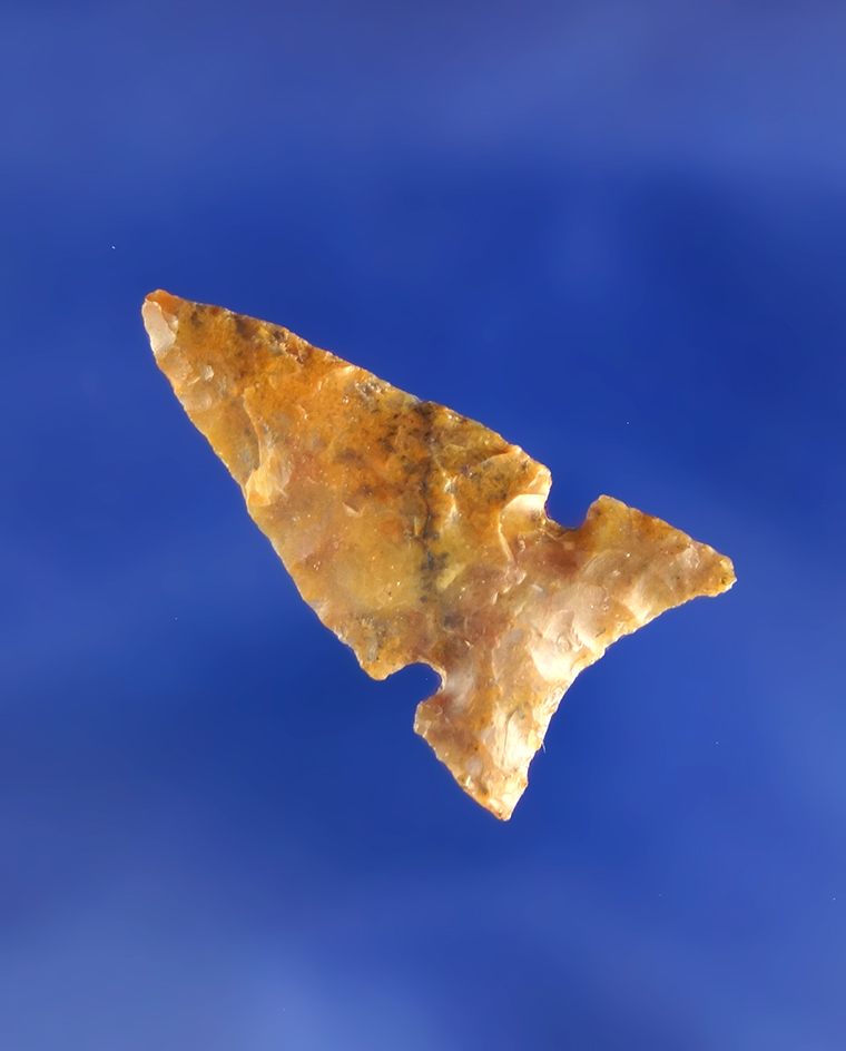 Main artifact image