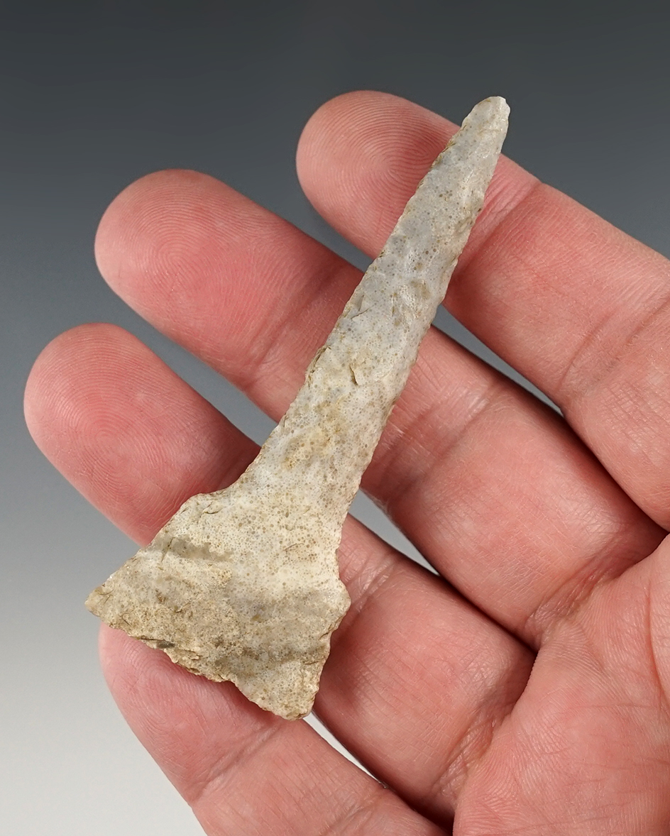 Main artifact image