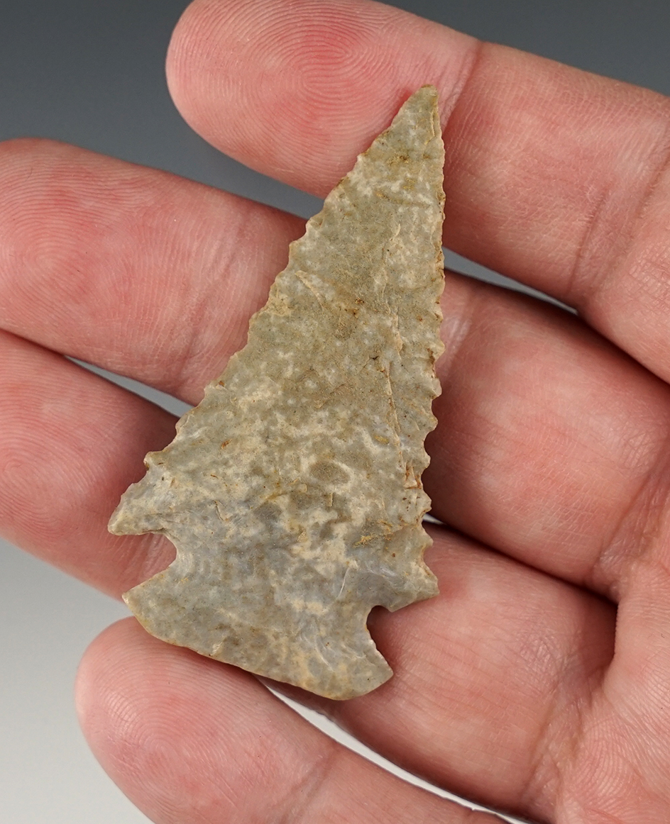 2 1/4" Serrated and Beveled Dovetail found in Ohio.