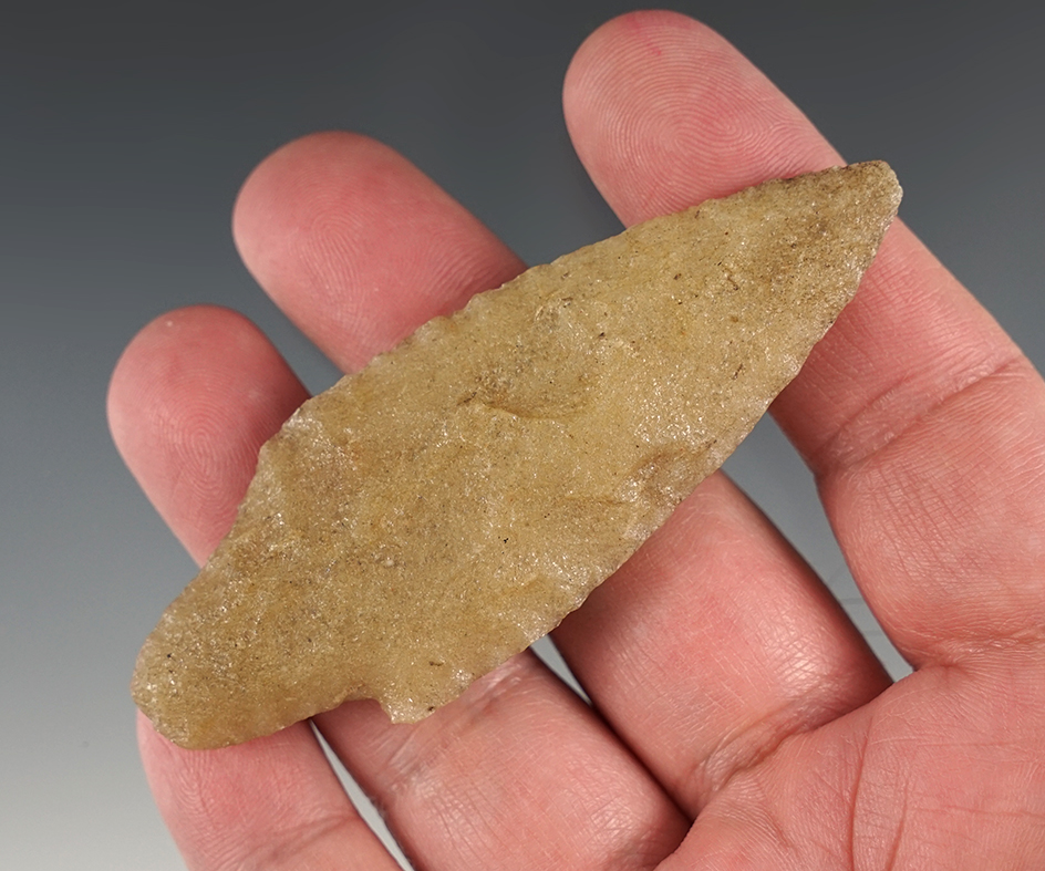 Main artifact image