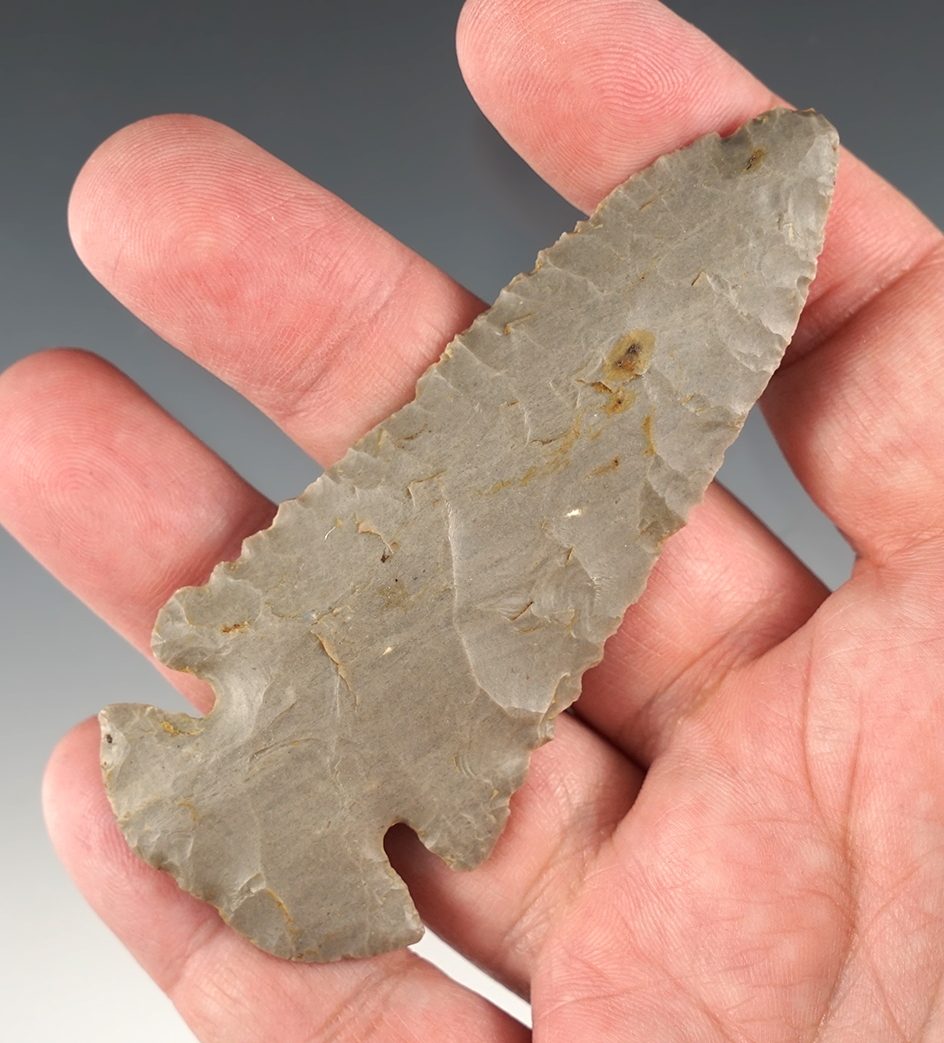 Nicely made 3 9/16" Hornstone Dovetail found in Logan Co., Kentucky. Jackson COA.