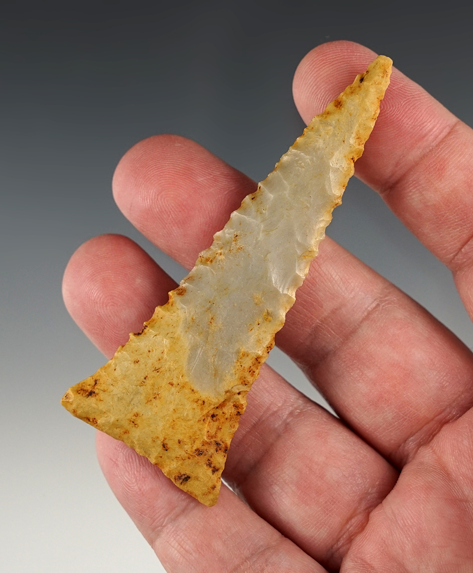 Impressive 3 1/4" Serrated Ft. Ancient Triangle points found in Scioto Co., Ohio.  Rogers COA.
