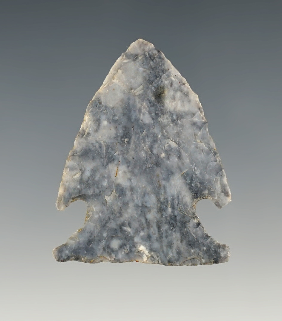 Nice 1 9/16" Ohio Intrusive Mound that is thin.