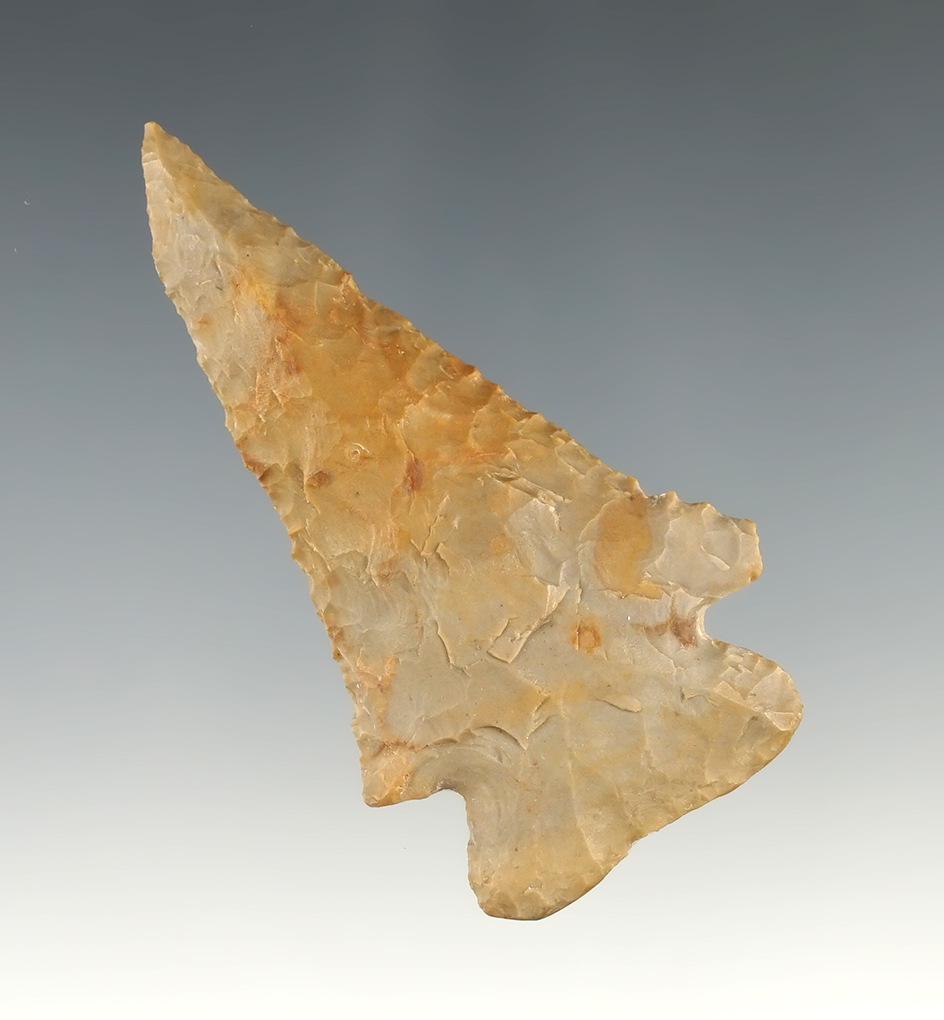 2 3/4" Pine Tree found in Christian Co., Kentucky that is well patinated.