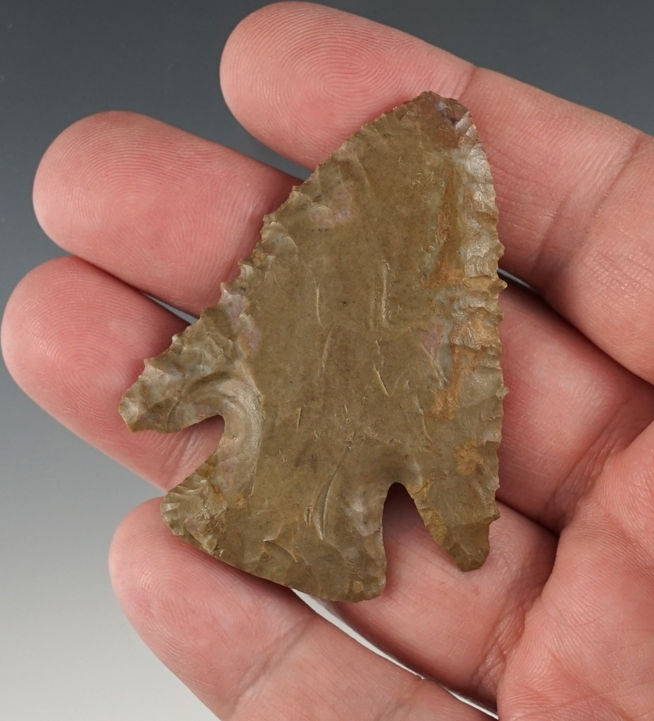 Fine 2 5/16" Lost Lake found in Clark Co., Kentucky. Nicely serrated!