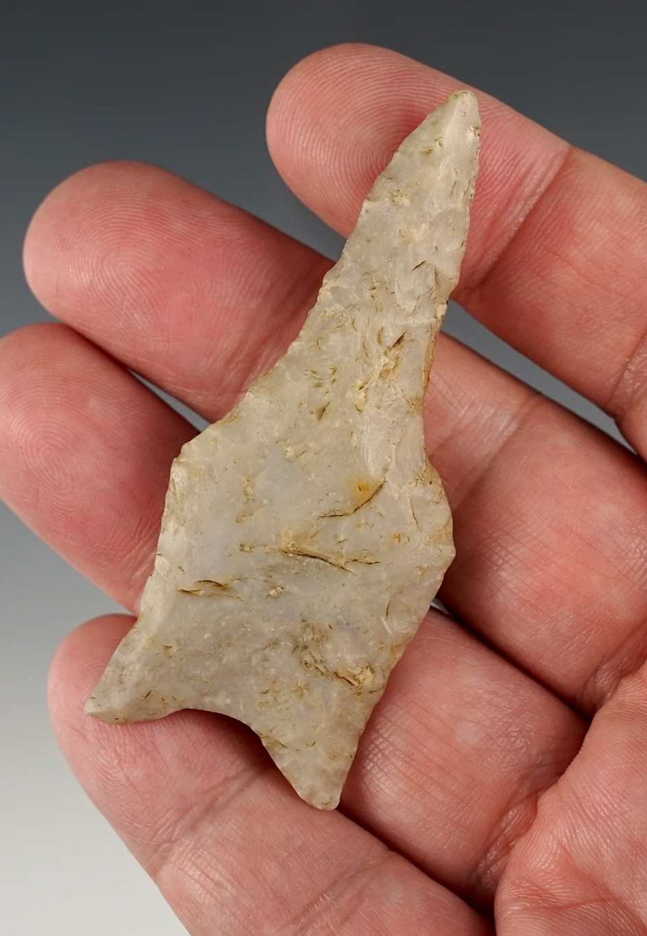 Main artifact image