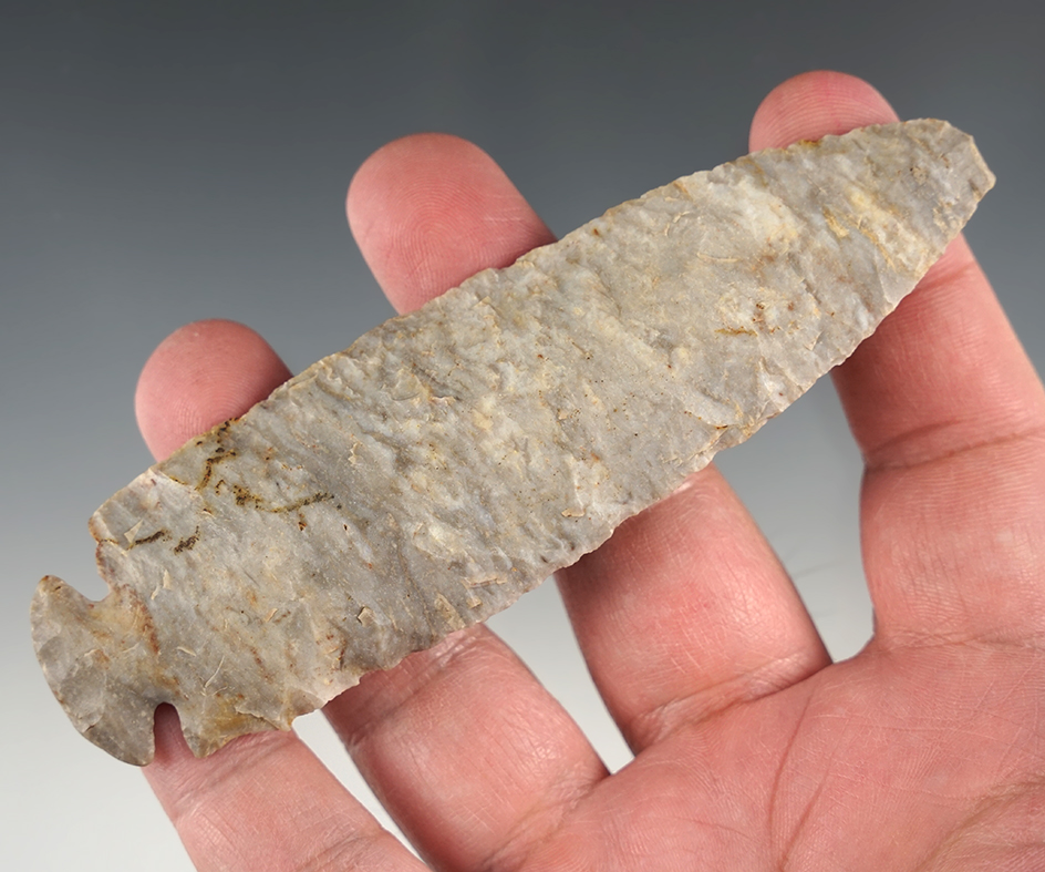 4 11/16" Dovetail found in Knox Co., Ohio. Small tip ding but still an impressive ancient relic.