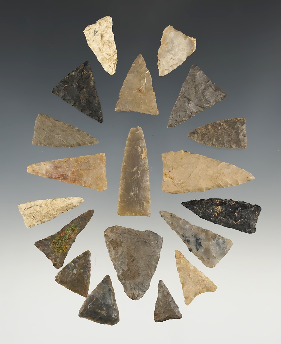 19 Triangular Arrow Points, largest is 1 1/2". Found at the Fox Field site, Mason Co., Kentucky.