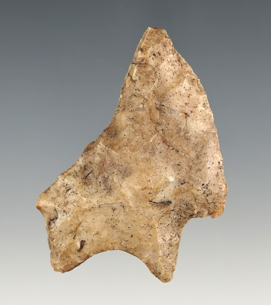 Main artifact image