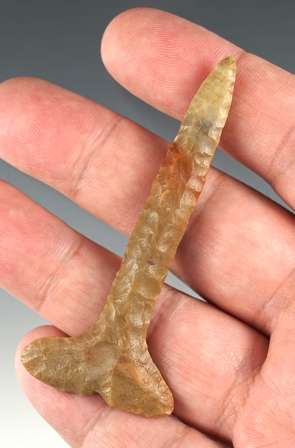Main artifact image