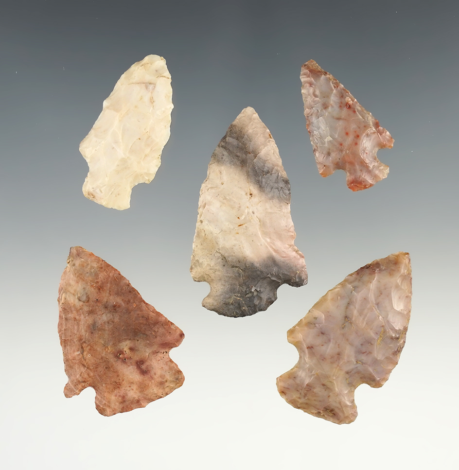 Set of 5 colorful Flint Ridge points found in Marion Co., Ohio. The largest is 1 7/8".
