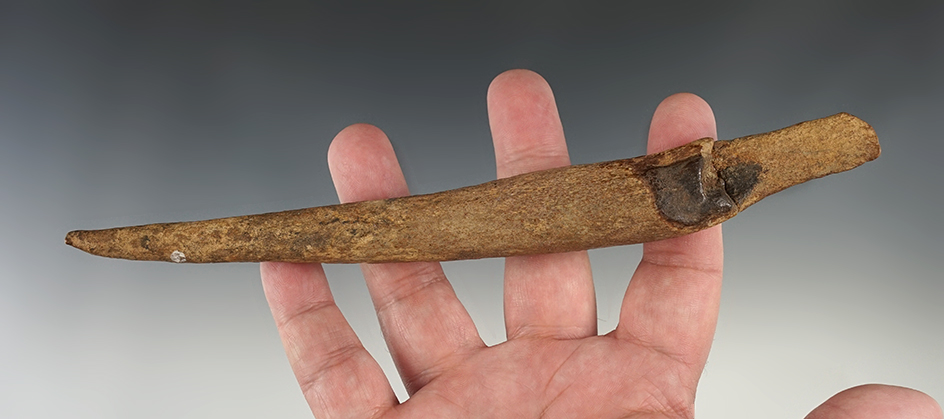 Main artifact image