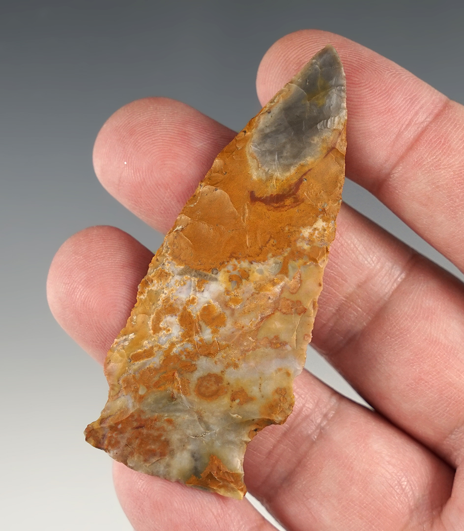 Highly colorful! 2 13/16" Hopewell  made from multi-colored flint. Found in Franklin Co., Ohio.