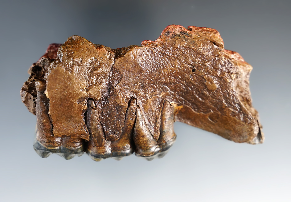 Main artifact image
