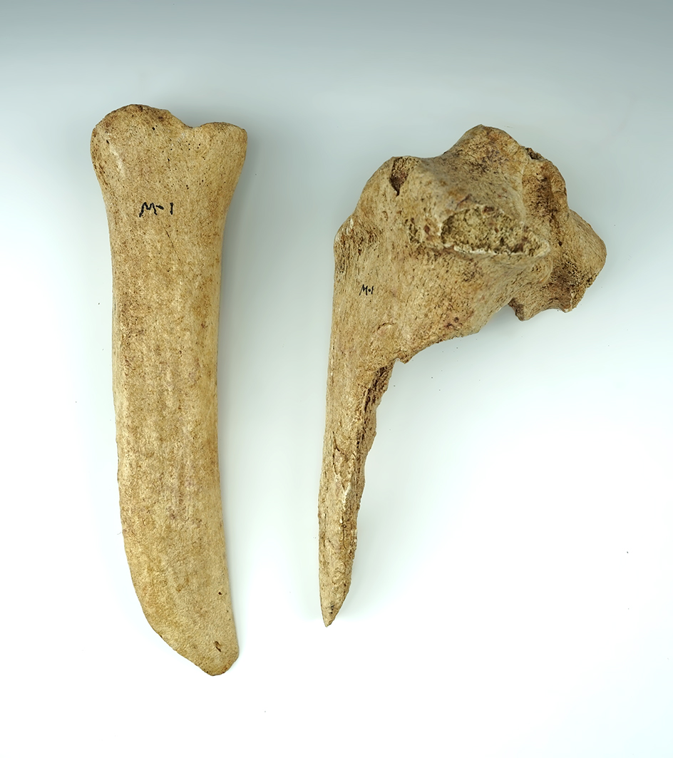 Main artifact image