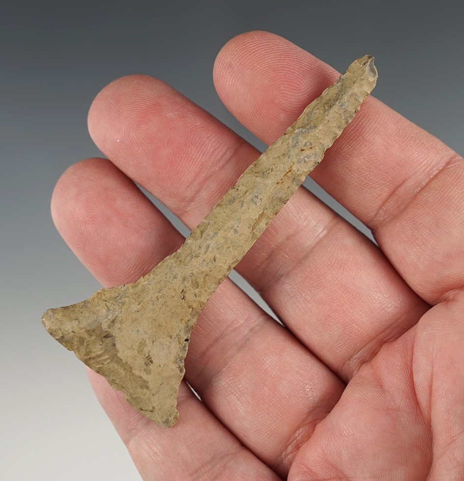 Main artifact image